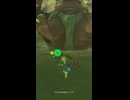 【ティアキン】チナガレ湿地帯のヒノックス　ゼルダの伝説ティアーズ オブ ザ キングダムNintendo Switch 2 Edition