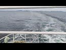 アメリカの駆逐艦〔アレン・M・サムナー級駆逐艦〕の駆逐艦ウィラード・キース、駆逐艦ゼラース、駆逐艦マッセイの第二次世界大戦時の乗組員の気分になれるアメリカ海軍WW2当時の大太平洋戦争カラー映像