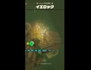 【ティアキン】ワシュアの丘東のイエロック　ゼルダの伝説ティアーズ オブザキングダムNintendo Switch 2 Edition