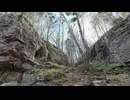 【VRChatワールド紹介】Trail at Snow Laurel Trail in TN 3DGS
