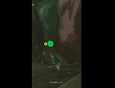 【ティアキン】カロク橋のヒノックス　ゼルダの伝説ティアーズ オブ ザ キングダムNintendo Switch 2 Edition