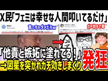 X民「ツイフェミって他人の幸せが許せないだけでは？」→ガチ効きし過ぎて発狂してる模様www