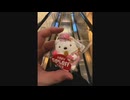 渡辺紘・中田祐矢の「前だけ見てろ！」おまけ#428