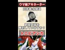 【ウマ娘】友人にウマ娘のアキネーター風クイズをさせて観た結果……part.6