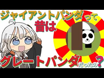 【ゆかりさん教えて！】ジャイアントパンダって昔はグレートパンダって名前だったの？