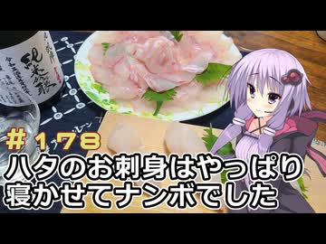 釣った魚は最後まで　＃１７８　オオモンハタの握り寿司【VOICEROIDキッチン】