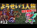 【ロマサガ3リマスター】ようせい1人旅 おかわりなしの固定敵縛りで真・破壊するものを倒しに行く part12