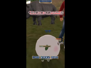 【マスターオブエピック】服装お洒落GOODと豆腐ハンバーグ【Master  of Epic】