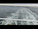 アメリカの駆逐艦〔ギアリング級駆逐艦〕の駆逐艦パーキンス、駆逐艦ヴェソール、駆逐艦レアリーの第二次世界大戦時の乗組員の気分になれるアメリカ海軍WW2当時の大太平洋戦争カラー映像