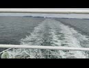 アメリカの駆逐艦〔ギアリング級駆逐艦〕の駆逐艦ベンナー、駆逐艦デニス・J・バックリーの第二次世界大戦時の乗組員の気分になれるアメリカ海軍WW2当時の大太平洋戦争カラー映像