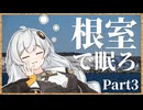 根室で眠ろ ３眠【冬の道東お写真旅】
