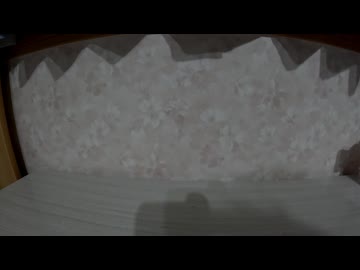好きなお菓子発表ドラゴン