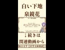 【小説朗読】白い下地/泉鏡花【青空文庫】