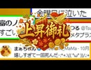 IR連発によりメタプラネット株価爆上げでメタプラ民大歓喜！【ずんだもん解説】