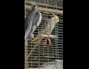 帰宅拒否！なぎ□