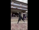 ホモと見るバージル
