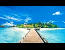 Master Mi - Paradise