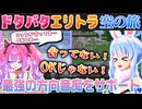 【Minecraft】エリトラの旅で発覚した綺々羅々ヴィヴィのとんでもない方向音痴を全力で支える兎田ぺこら【ホロライブ切り抜き】