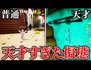 【実況】床のタイルが肝、マジでここ全然見つからないww【めっちゃカメレオン】