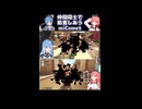 仲間同士で妨害しあうmiComet
