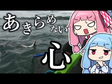 リベンジに向かうも玉砕しかけるおじさんを実況する琴葉【VOICEROIDフィッシング】