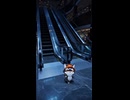 むぎめしがショッピングモールを探索するアニメでも見てて