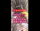 性別詐欺！？DNA鑑定を華麗に裏切ったオカメインコがイケメンすぎて草ｗ