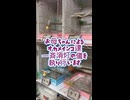 【閲覧注意】オカメインコの消灯の儀が可愛すぎて尊いｗ