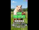 【馬番発表後2番目位に早い競馬予想】ＧⅢ # 函館記念AIみかん 予想担当は栽培マンの推奨馬3頭で好配当的中目指します《#競馬楽部 LOVE》通算Vol.438