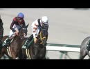 【競馬MAD】グレードを掴んだキングヘイロー産駒たち【Never Looking Back】