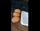 #YMDD_668　レンチン限界目玉焼き【山田飯】