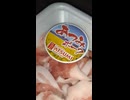 #YMDD_688 exp　ビオ・あつみ：あつみポーク小間切れで焼そば【山田飯】