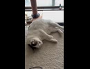 毎日こつこつ