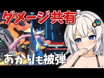 水タイプと言ったらビキニみたいな所ない？【ポケモンチャンピオンズ】
