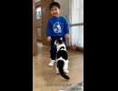 Happy Happy (feat. 初音ミク)  | 子供と猫の仲良し遊びタイム | ハッピーな雰囲気 ✨