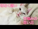 切なく痛い、甘噛みの思い出