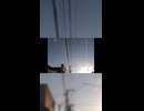 『celluloid』歌ってみた - らっと 1