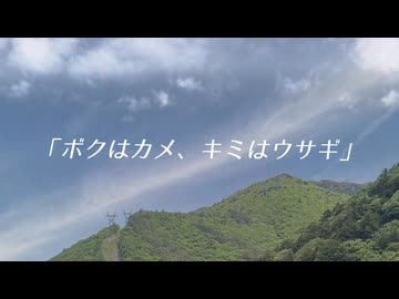 「ボクはカメ、キミはウサギ」