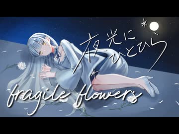 fragile flowers / 夜光にひとひら【VocaDuo2026】