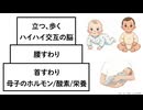 赤ちゃんの「首すわり」「首の甲状腺ホルモン」による脳の発達と体づくり