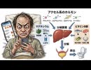 アクセル系のホルモンの分解　食事編