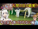 03【 めっちゃカメレオン】人間の目の錯覚！？牛の足で気づかれない編【 voiceroid実況 ゆっくり実況】