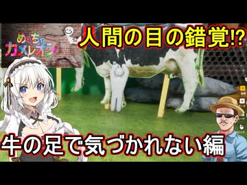03【 めっちゃカメレオン】人間の目の錯覚！？牛の足で気づかれない編【 voiceroid実況 ゆっくり実況】