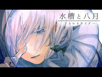 ✿    水槽と八月 (original) 【 #VocaDuo2026 team アネモネサイダー 】