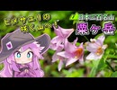 【リアル登山アタック】粟ヶ岳、ヒメサユリと山頂の景色【四国めたん】