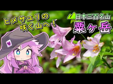 【リアル登山アタック】粟ヶ岳、ヒメサユリと山頂の景色【四国めたん】