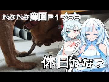 2026年6月26日　日記1768　まさかの富士五湖で地震が！？それはともかく、今日の日記です