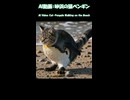 AI架空生物 猫ぺんぎん