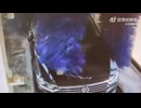 世界の衝撃的映像集Part250