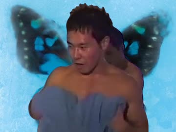 ハクシン蝶